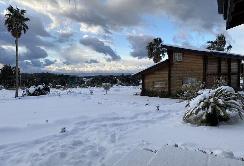 Hotel Breakfast At Tiffany S Pension