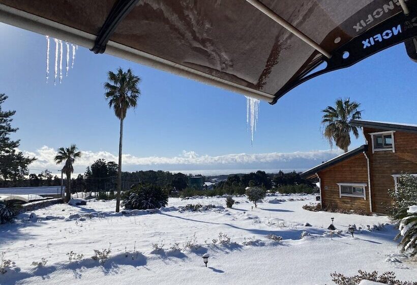 Hotel Breakfast At Tiffany S Pension