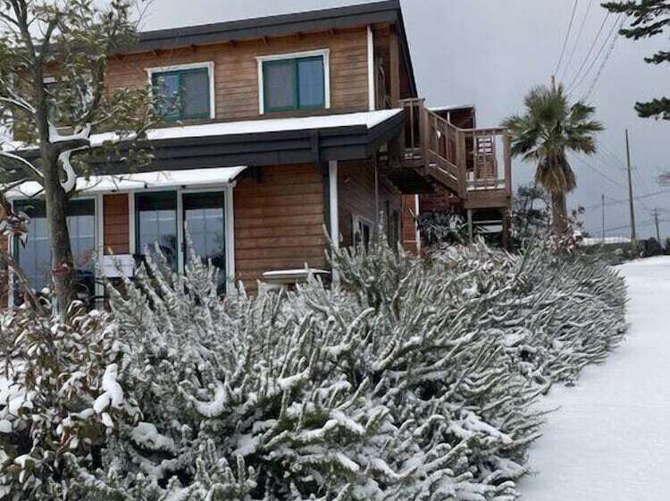 Hotel Breakfast At Tiffany S Pension