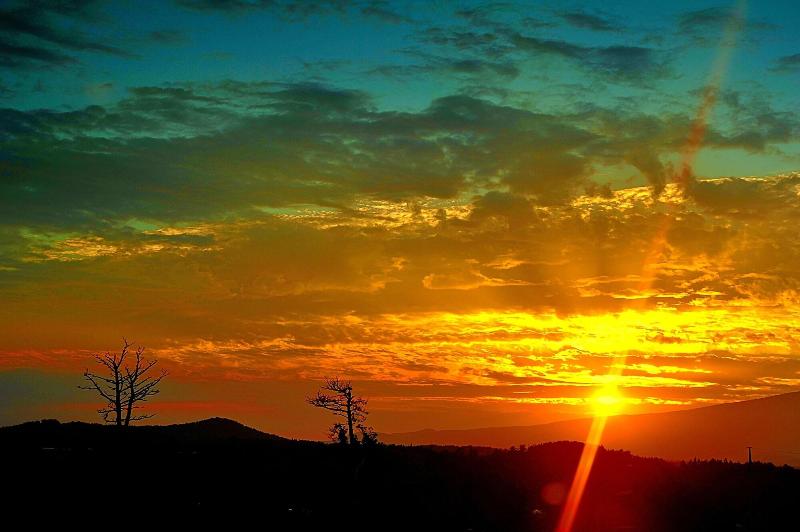 Hotel Breakfast At Tiffany S Pension