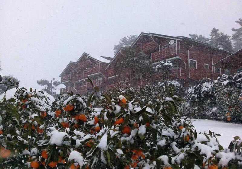 Hotel Breakfast At Tiffany S Pension