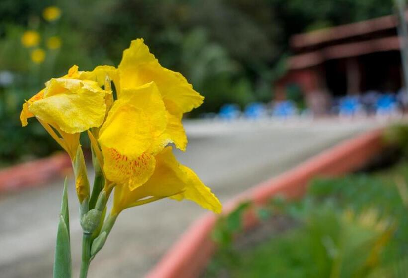 فندق Pacific Paradise Resort