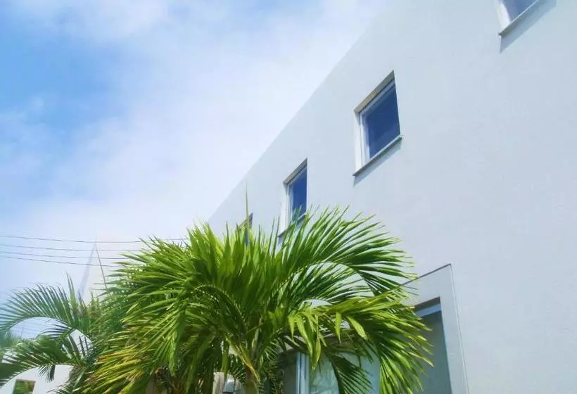 The Green Terrace