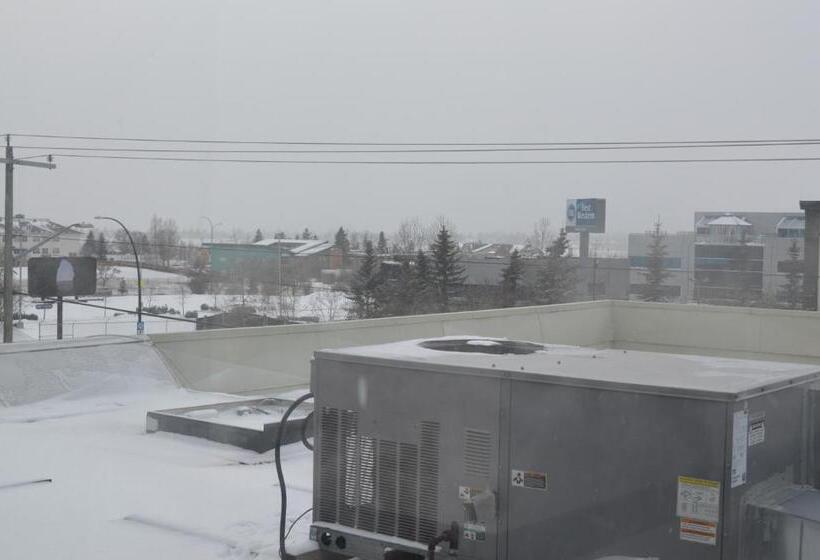 בית מלון כפרי Airport Traveller S Inn