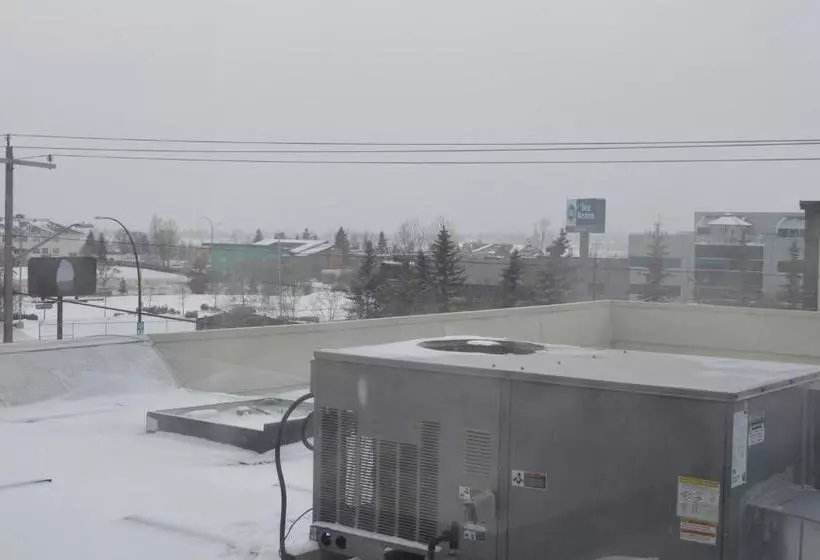 Отель Airport Traveller S Inn