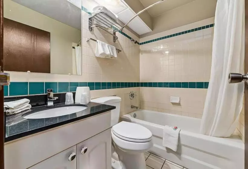 Отель Airport Traveller S Inn