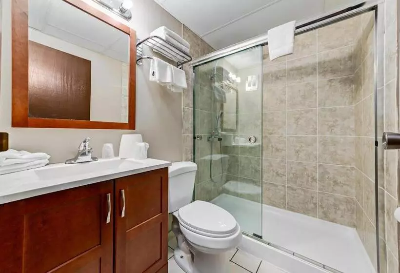 Отель Airport Traveller S Inn