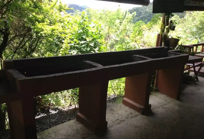 ホテル D'villa Rina Ria Lodge