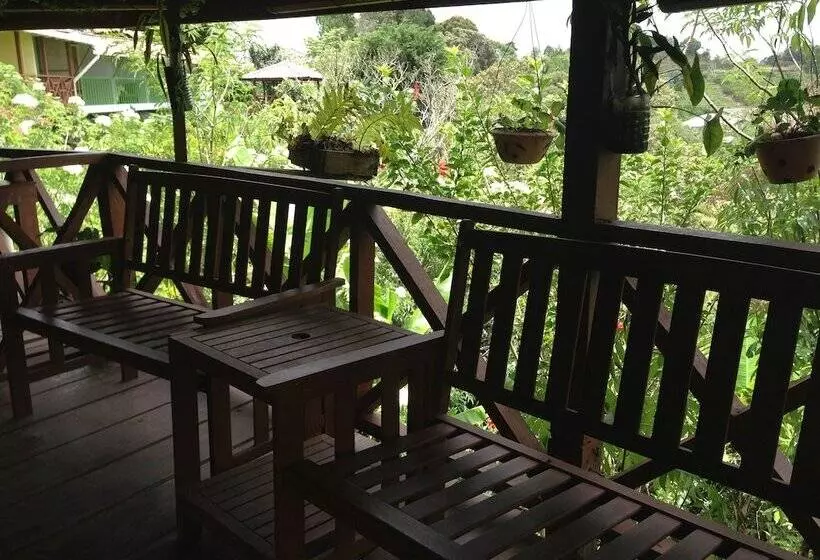 ホテル D'villa Rina Ria Lodge