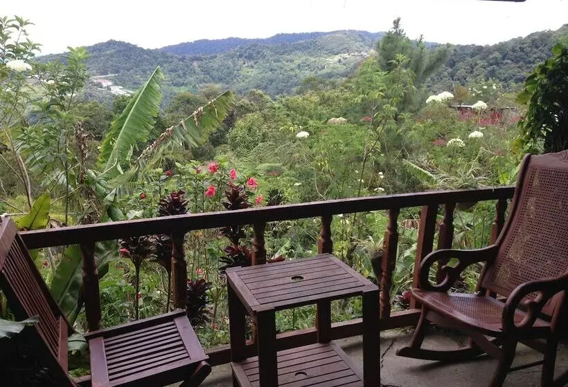 ホテル D'villa Rina Ria Lodge