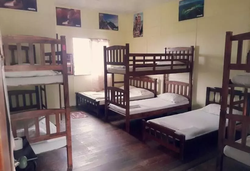 ホテル D'villa Rina Ria Lodge