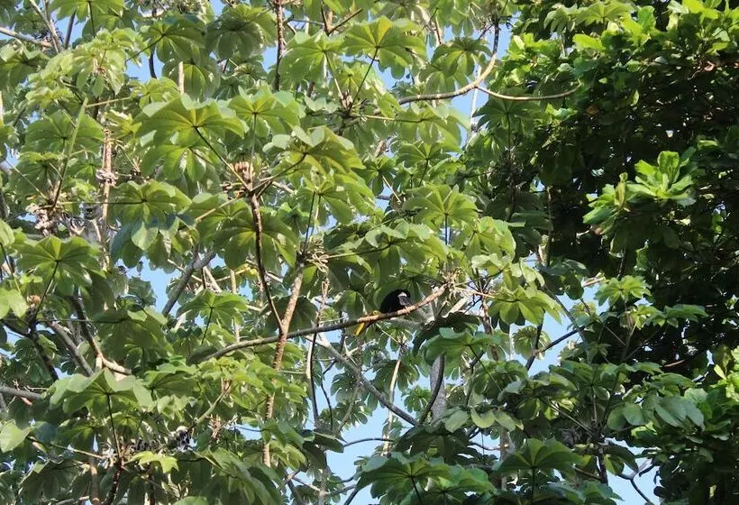 هتل Jaco Lodge Quiet Place