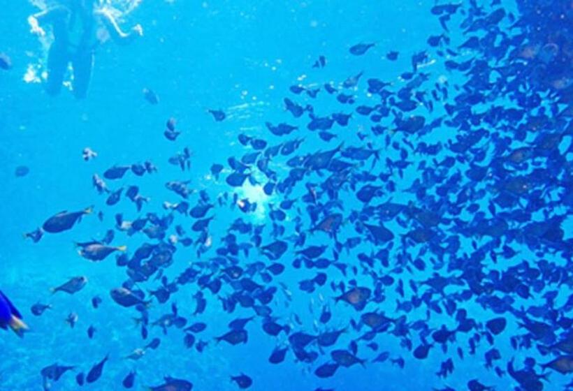 ホテル Kyukamura Minamiizu