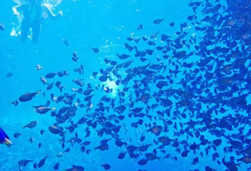 Hotelli Kyukamura Minamiizu