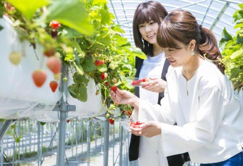 ホテル Kyukamura Minamiizu