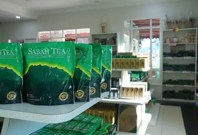 ペンション Sabah Tea Resort