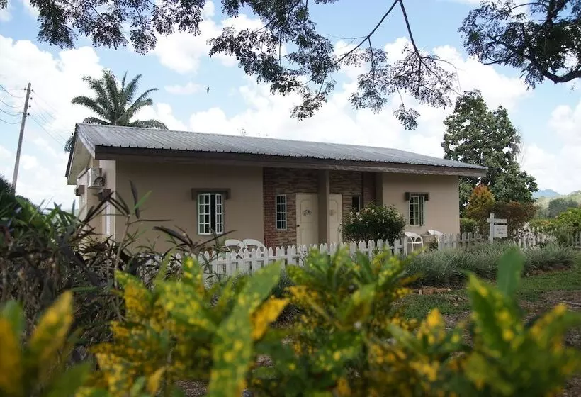 ペンション Sabah Tea Resort