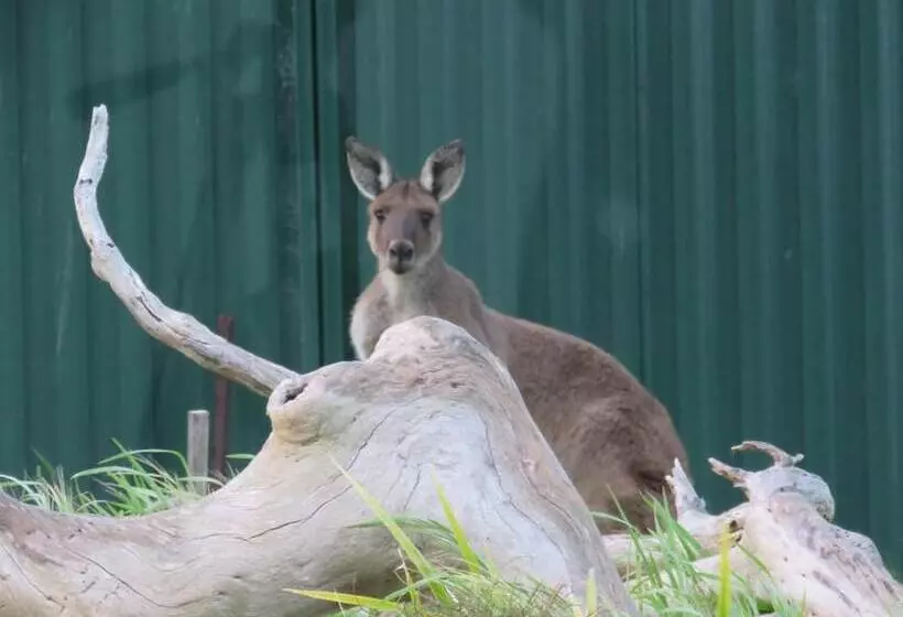 Bed and Breakfast Lush Pastures