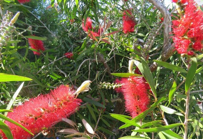 住宿加早餐  Lush Pastures
