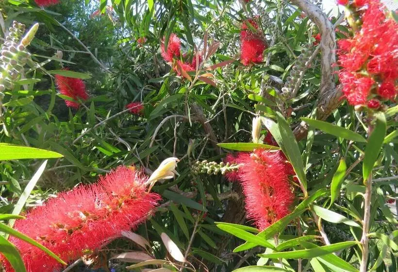 Bed and Breakfast Lush Pastures