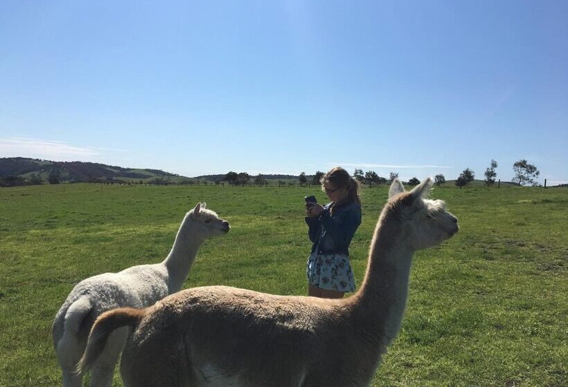 住宿加早餐  Lush Pastures