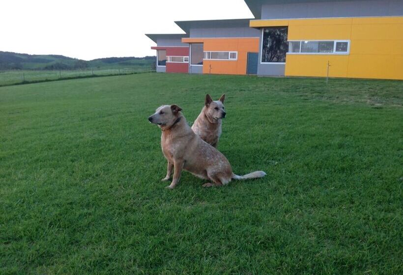 住宿加早餐  Lush Pastures