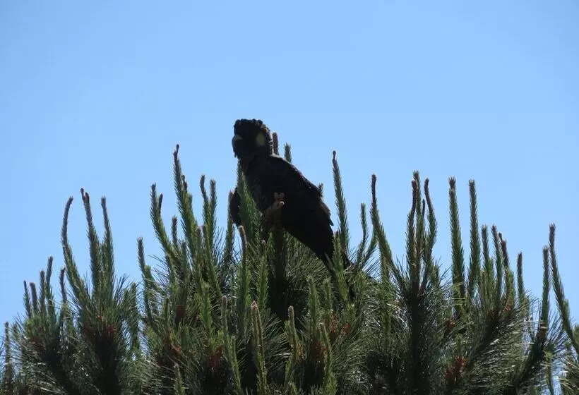 Bed and Breakfast Lush Pastures