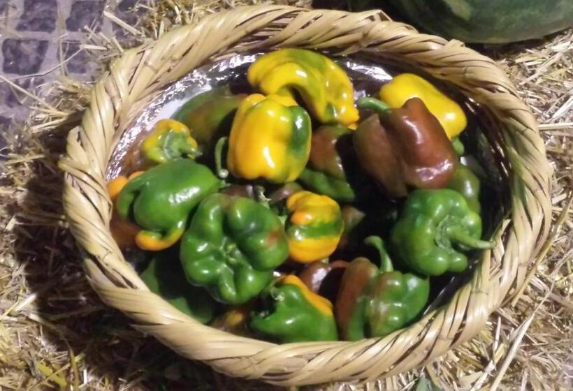 Bed and Breakfast Palazzo Madeo   Residenza D Epoca