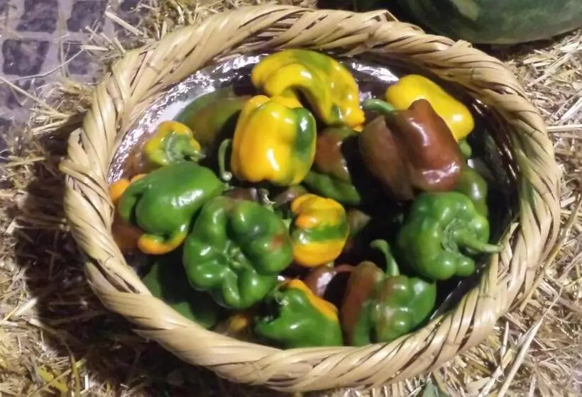 Bed and Breakfast Palazzo Madeo   Residenza D Epoca