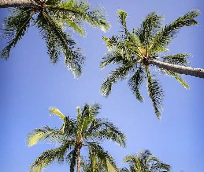 Bush Village Holiday Cabins