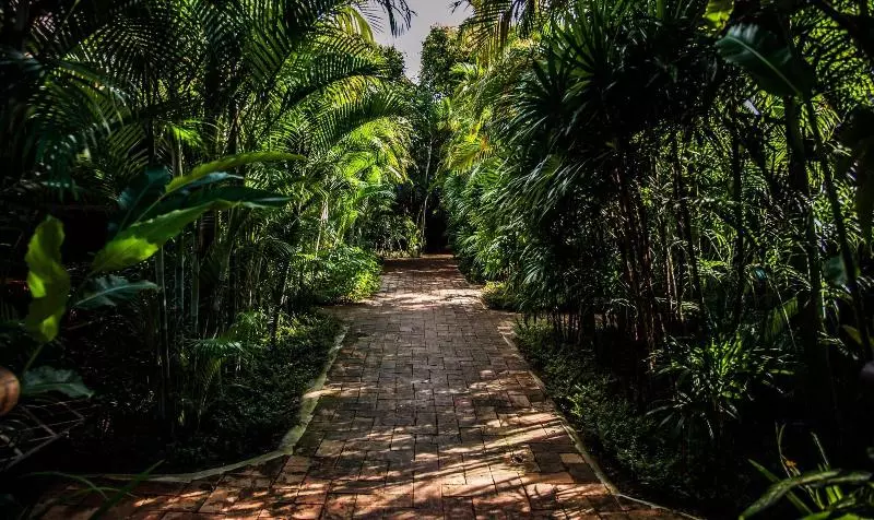 Hotel Baanpong Lodge