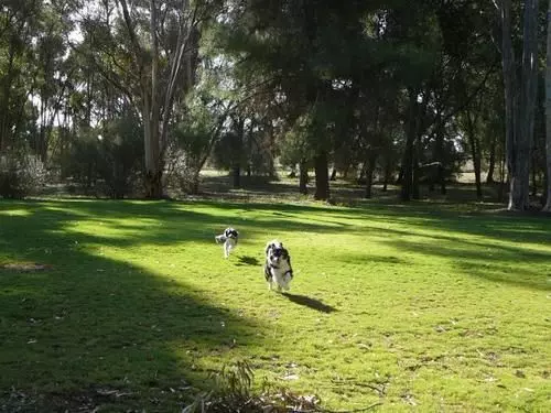 ホテル Gladstone Caravan Park  South Australia