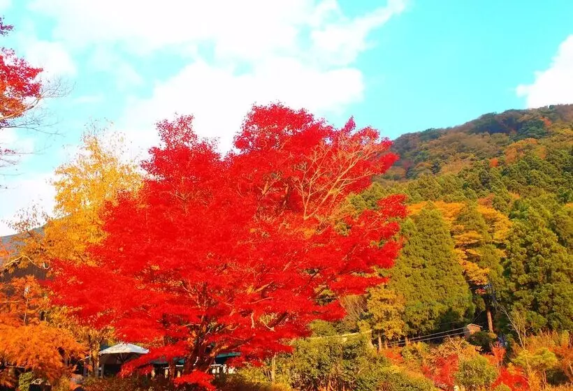 בית מלון כפרי Homey Inn Enya