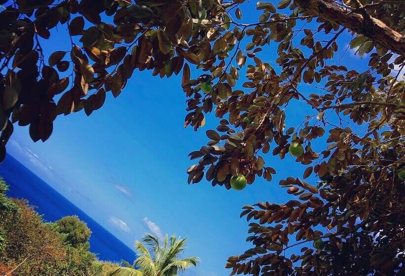 هتل Hôtel Village Pomme Cannelle 3 étoiles