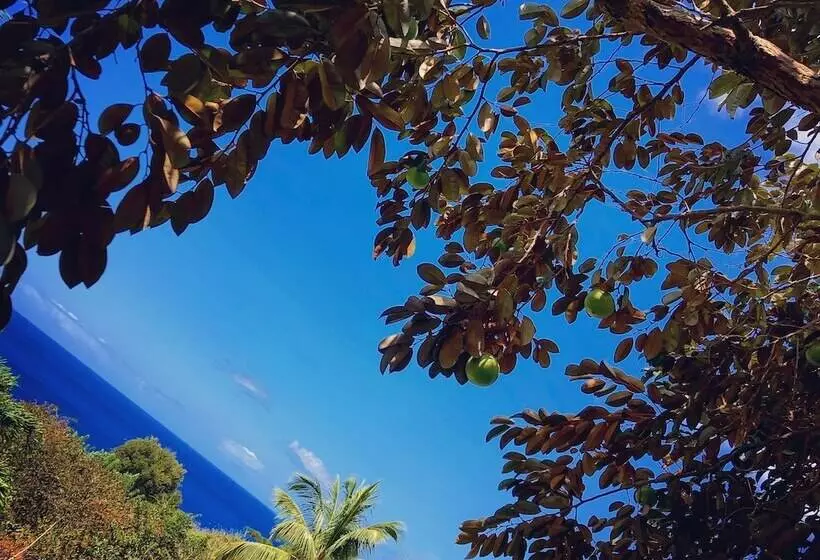 هتل Hôtel Village Pomme Cannelle 3 étoiles