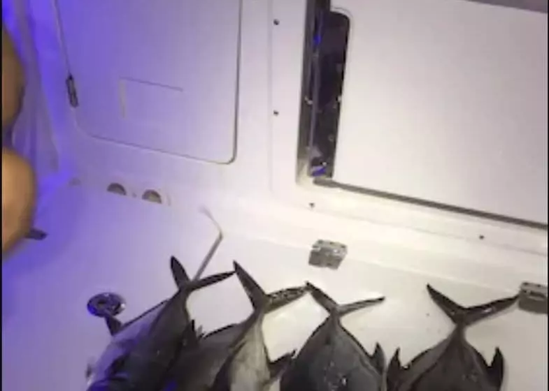 هتل Hôtel Village Pomme Cannelle 3 étoiles