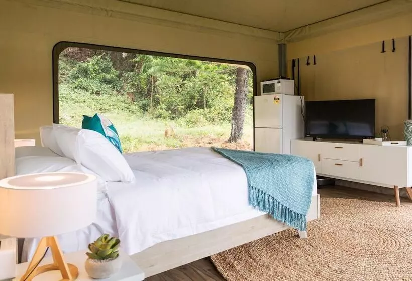 酒店 Reflections Seal Rocks Holiday Park