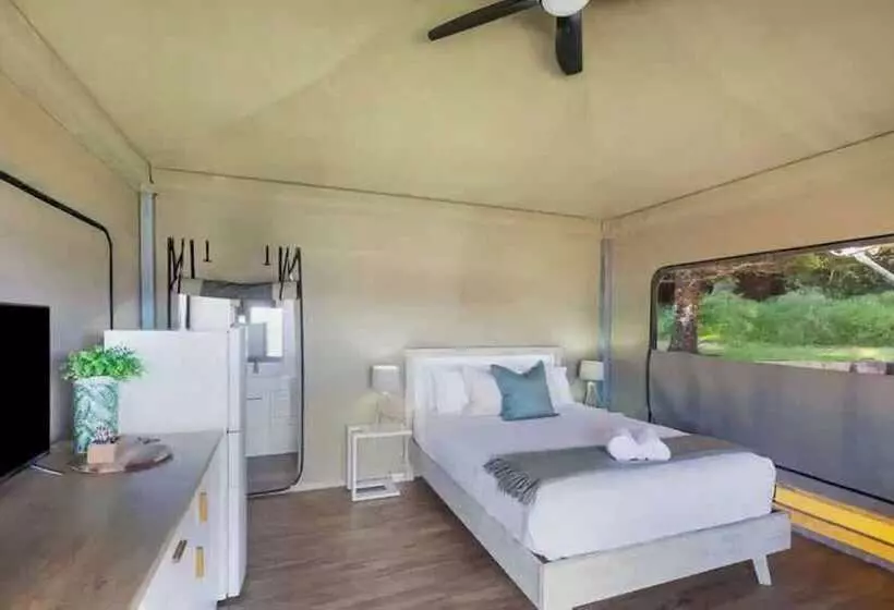 酒店 Reflections Seal Rocks Holiday Park