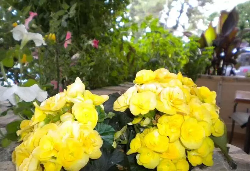 Paradise Lost Hotel Apartments