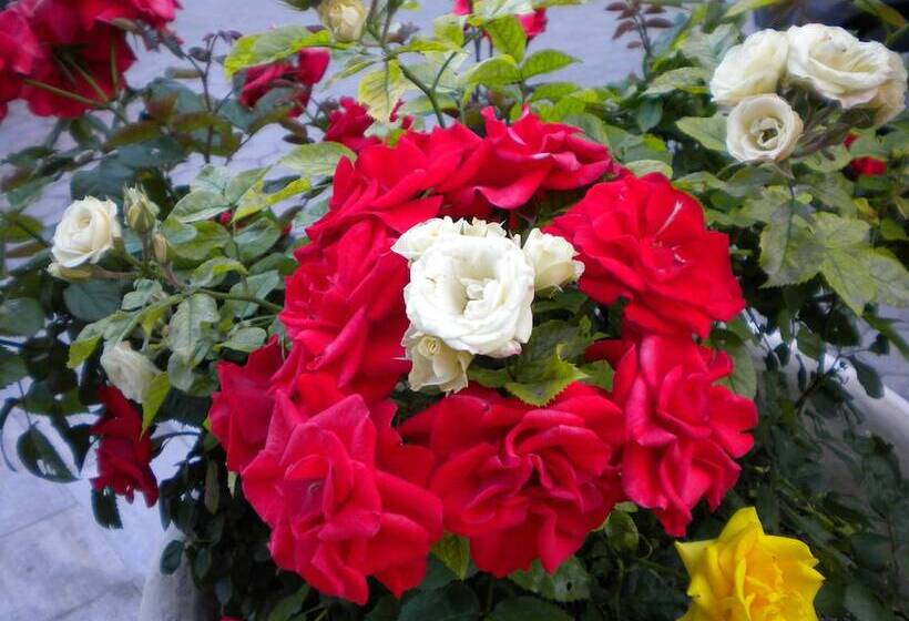 Paradise Lost Hotel Apartments