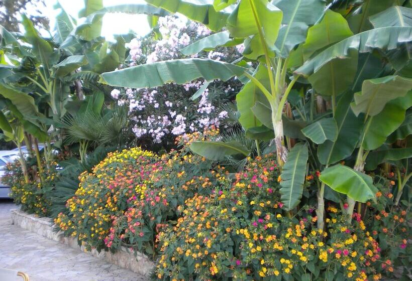 Paradise Lost Hotel Apartments