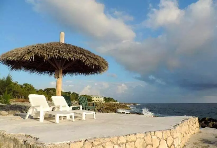 پانسیون Tingalaya's Retreat