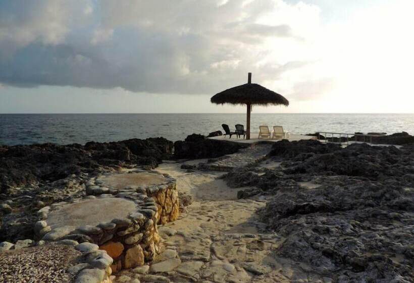 پانسیون Tingalaya's Retreat