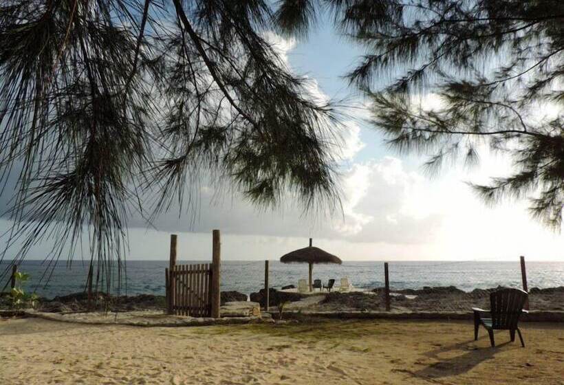 پانسیون Tingalaya's Retreat