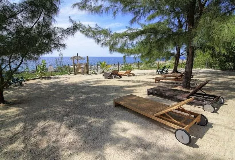 پانسیون Tingalaya's Retreat