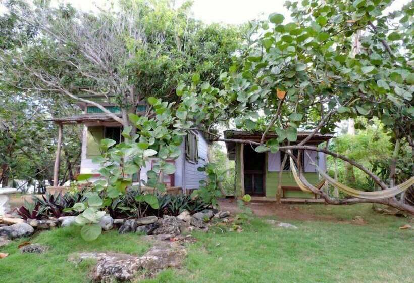 پانسیون Tingalaya's Retreat