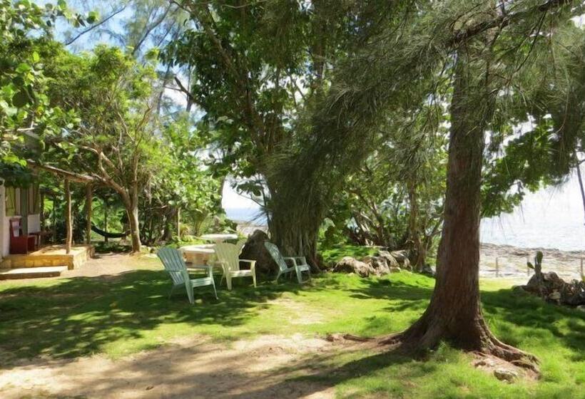 پانسیون Tingalaya's Retreat