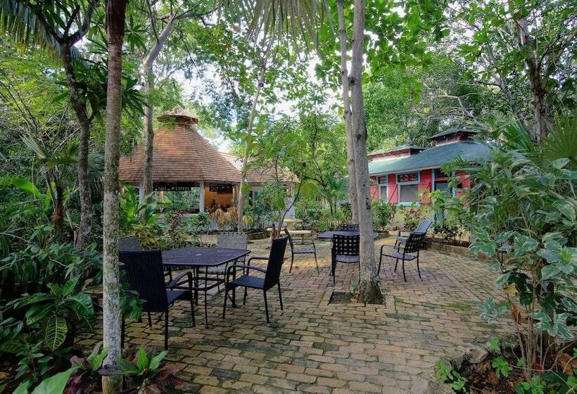 پانسیون Tingalaya's Retreat