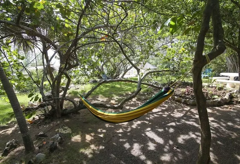 پانسیون Tingalaya's Retreat