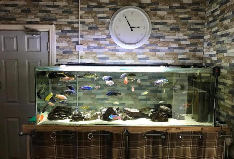 مبيت وإفطار The Craigside